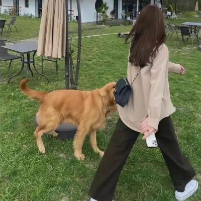 带我飞向月球